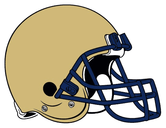 Navy logo