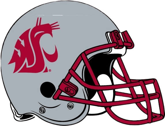 Washington State logo